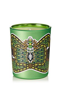 Diptyque - Cerf Sapin Scented Candle