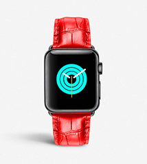 Mintapple - Apple Watch copy