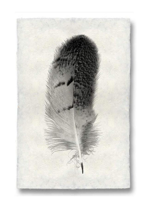 Runaway Poppy - Feather Owl